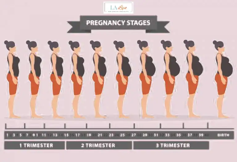 First Trimester (Weeks 1–12): Early Changes You Might Not Notice Earls Barton